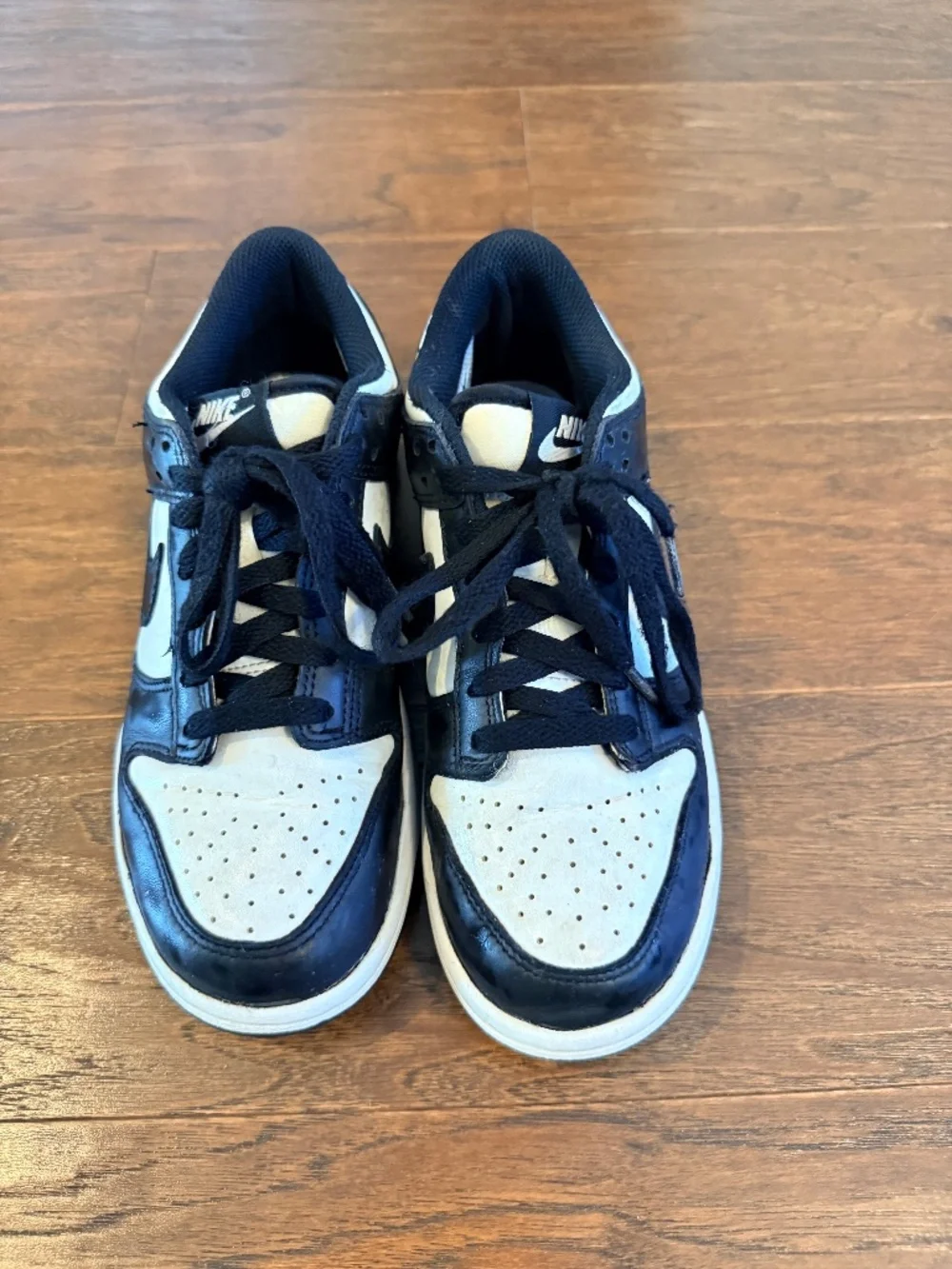 Nike Dunk Low Big Kids' Shoes